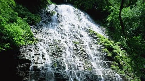 稳定性高效高标准